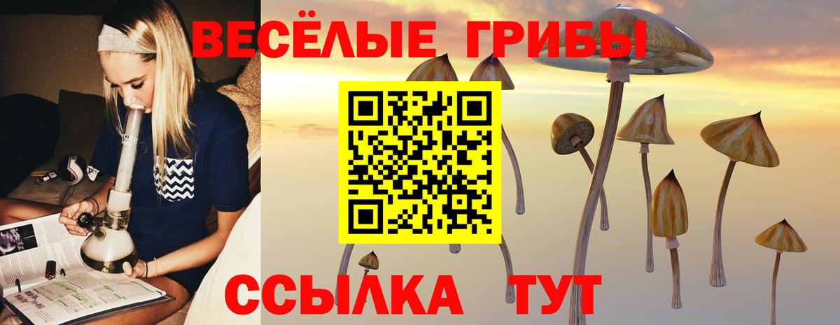 Галлюциногенные грибы Psilocybine cubensis  Вход с VPN  Галлюциногенные грибы Psilocybe  Северобайкальск 