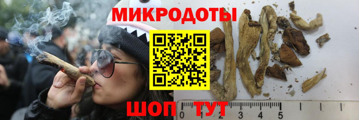 Псилоцибиновые грибы Cubensis Северобайкальск